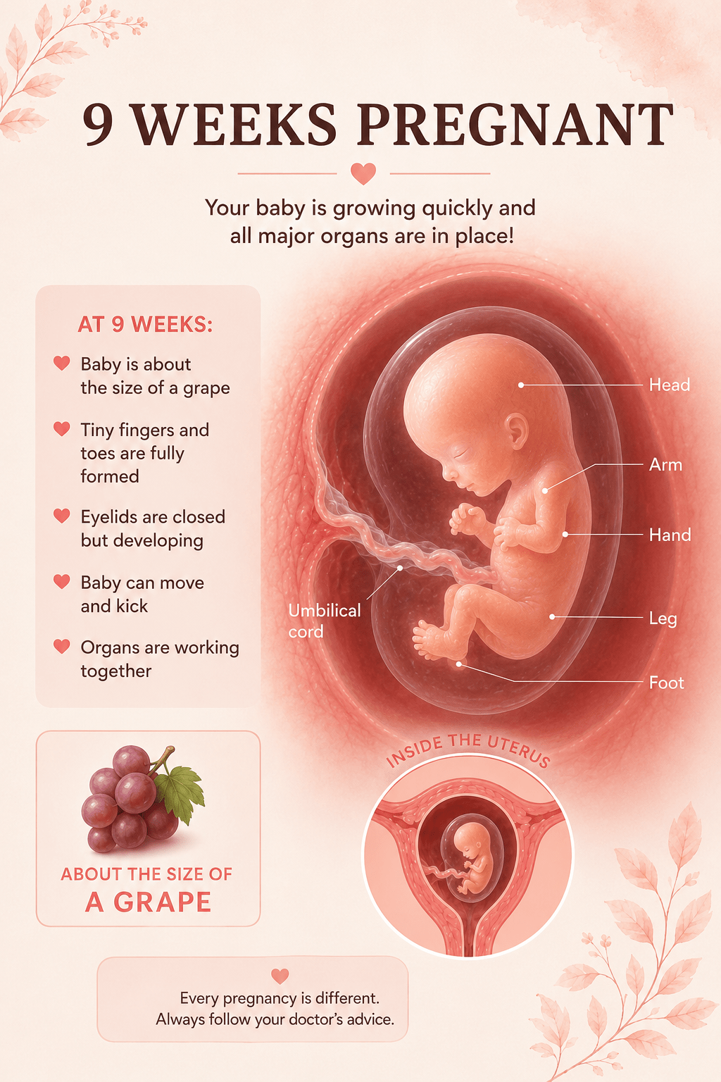 9 Weeks Pregnant baby development and early pregnancy symptoms guide