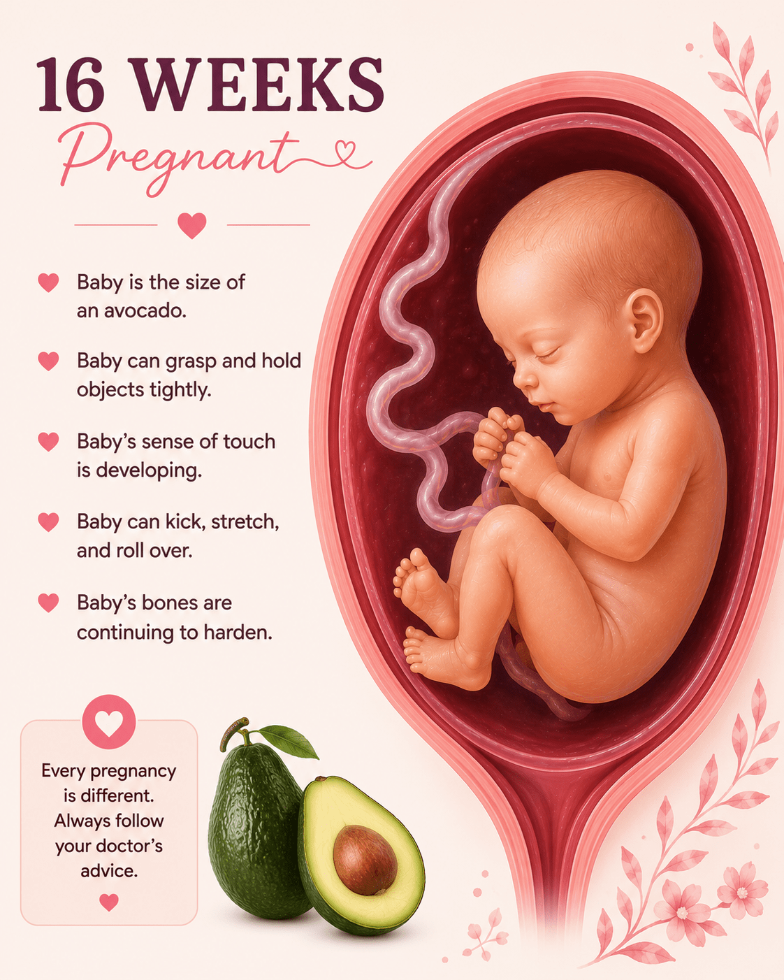 16 Weeks Pregnant baby development and second trimester symptoms guide