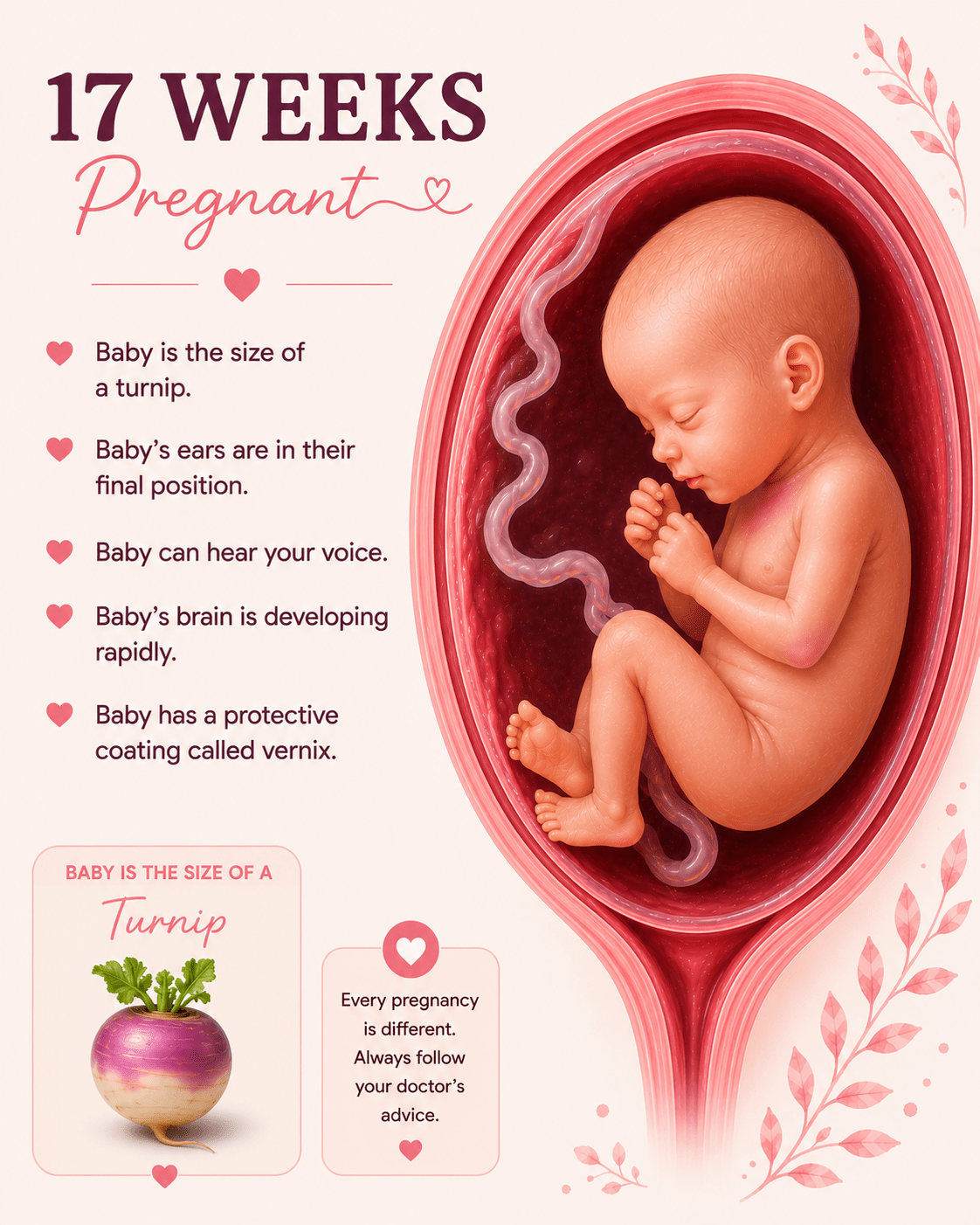 17 Weeks Pregnant baby development and second trimester symptoms guide