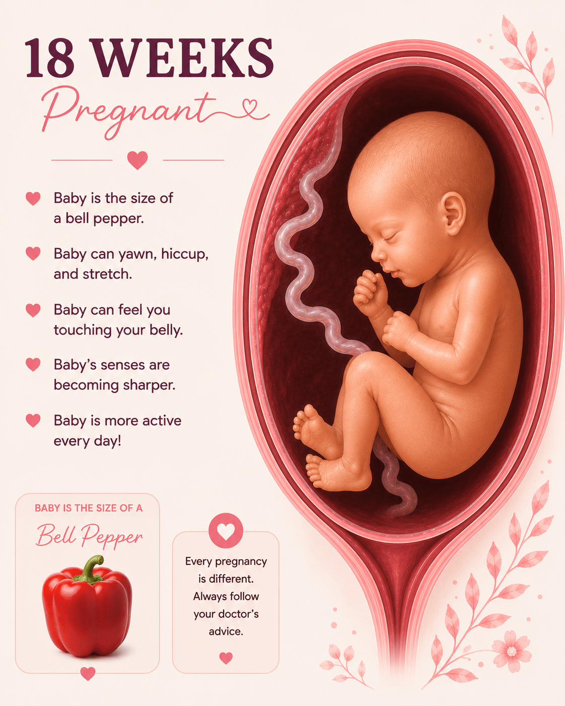 18 Weeks Pregnant baby development and second trimester symptoms guide
