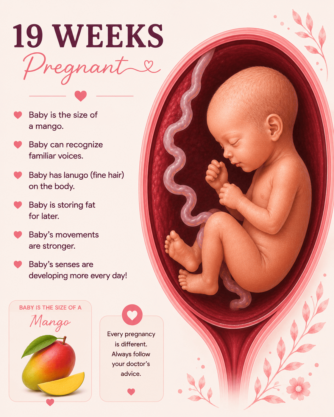 19 Weeks Pregnant baby development and second trimester symptoms guide
