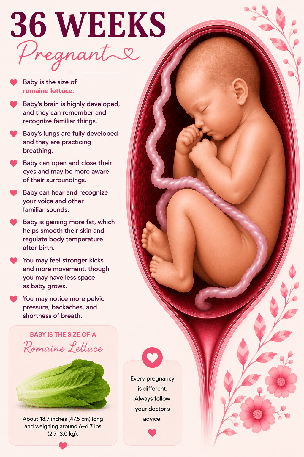36 weeks pregnant baby development and third trimester movement guide